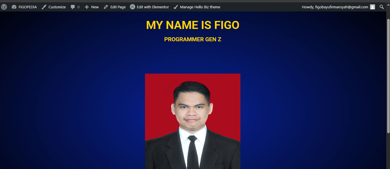 FIGO BAYU PROFILE